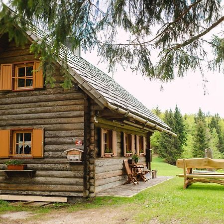 Wood House Irena-Pocitniska Hisa Villa Bohinj Ngoại thất bức ảnh