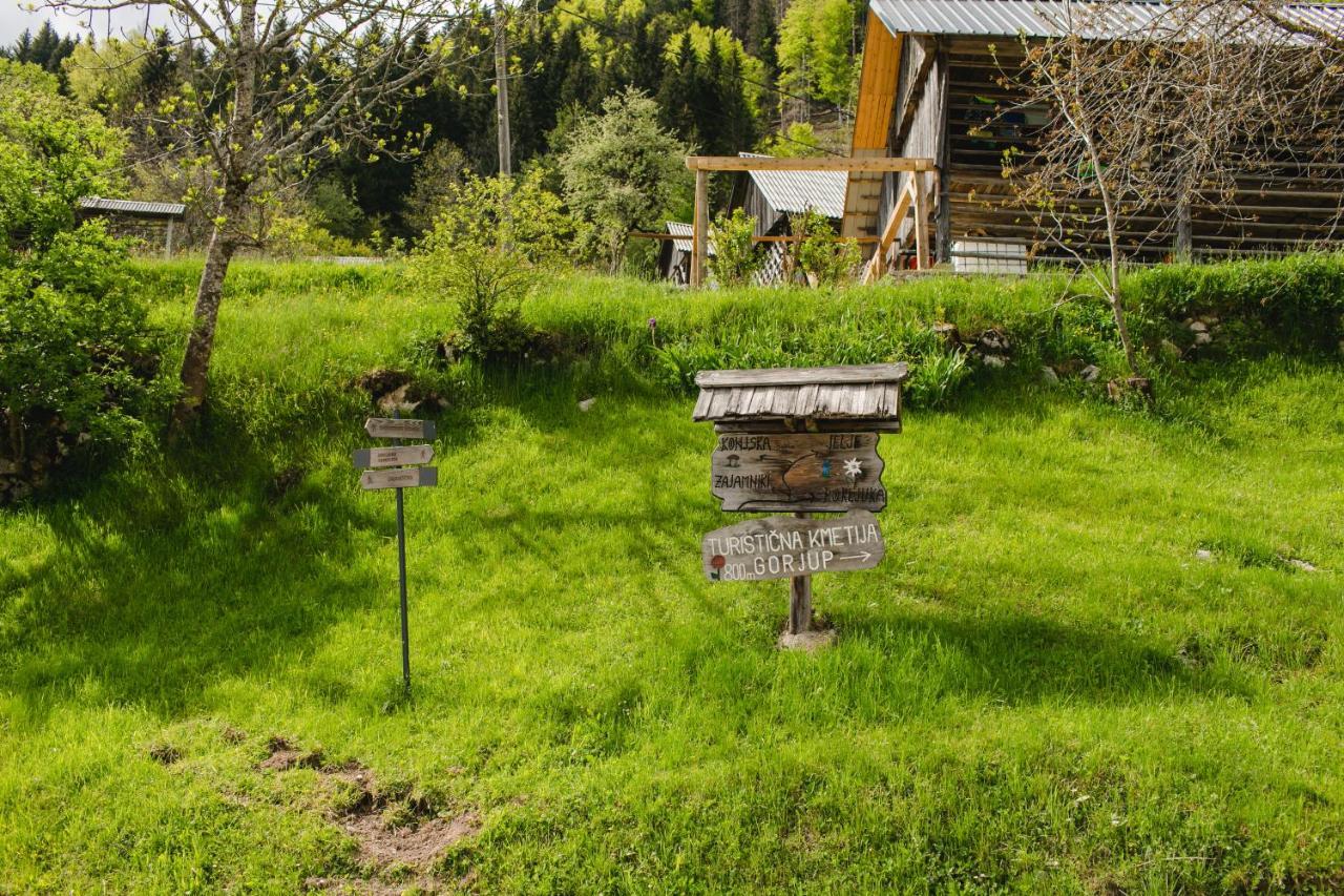 Wood House Irena-Pocitniska Hisa Villa Bohinj Ngoại thất bức ảnh
